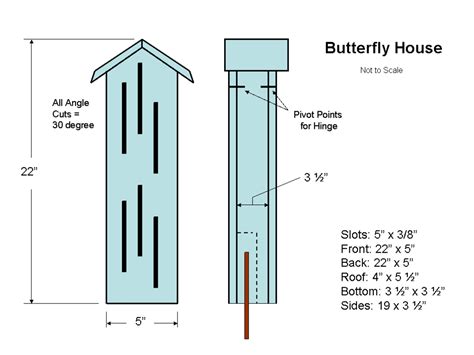  Dictyostelium: A Tiny Social Butterfly that Builds Houses?